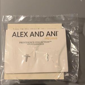 Alex and Ani Earrings